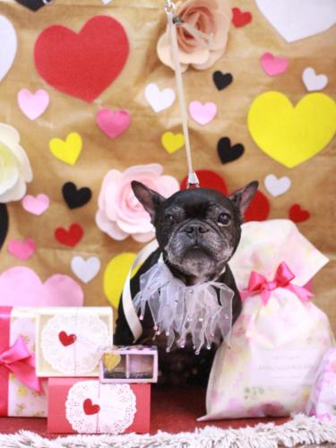 20230204さつきちゃん